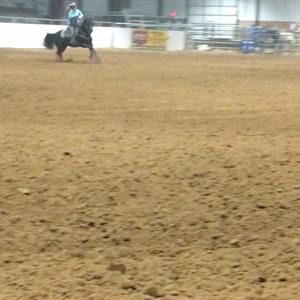 Meet your Posher, Tammy